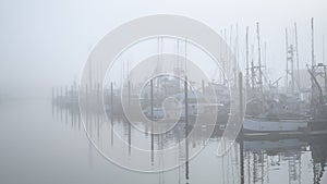 Fishing boats moored at a dock on a foggy morning