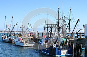 Fishing boats moored at the dock with a pick-up truck with the door open and the opposite shore visable across the bay