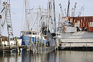 Fishing Boats moored at the harbor at Amelia Island, Florida.