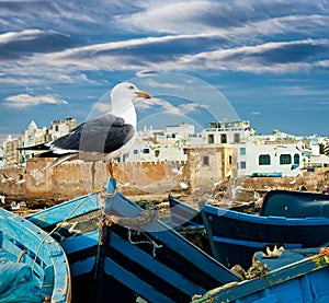 Fishing boats on an ocean coast