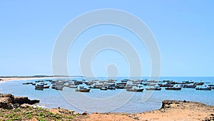 Fishing Boats Parked in Harbor with Blue Sea and Open Sky - Fisheries and Marine Industry - Countryside in Chorwad, Gujarat, India