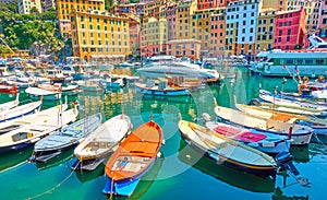 Fishing boats in the port of Camogli