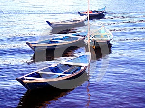 Fishing boats resting on the TapajÃÂ³s river photo