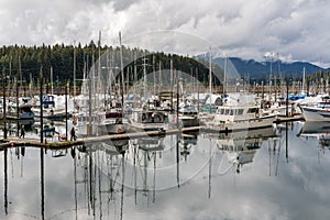 Fishing boats and tour ships docked in the harbor at Hoonah Alaska