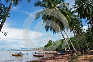 Fishing boats under palmtrees photo