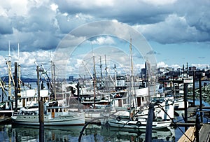 Fishing Boats Vancouver British Columbia Canada