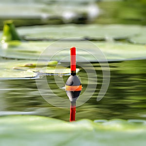 Fishing bobber in the lake among water lily