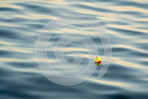 Fishing bobber on the water