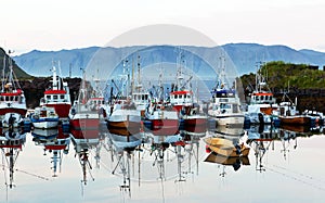 Fishing business boats photo