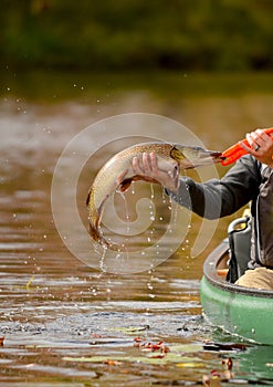 Fishing in a canoe for a pike fish