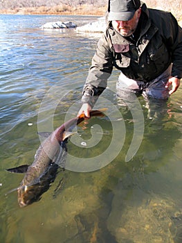 Fishing catch and release