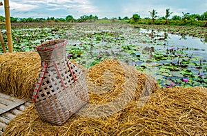 Fishing creel, Bamboo basket put the fish on Rice straw Balcony