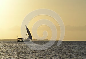 Fishing Dhow Zanzibar, Tanzania