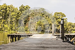 Fishing dock on Louisiana swamp lake.