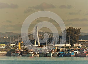 The Fishing Docks in Portimao