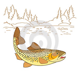 Fishing emote. Brown Trout Fish Realistic drawing Vector illustration.