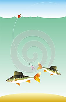 Fishing of fish on fishing rod