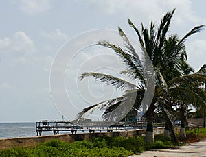 Fishing fisherboat ocean mexico pier boat beach