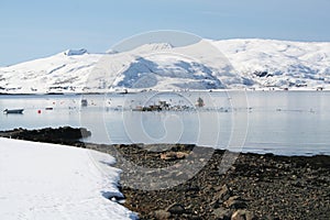 Fishing fjord of Mikkelvik