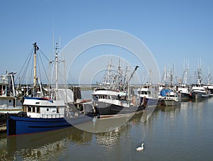 Fishing Fleet Waits