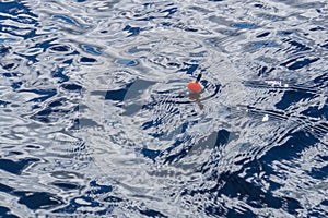 A fishing float bobber floating in the water surface