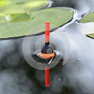 Fishing float in the pond