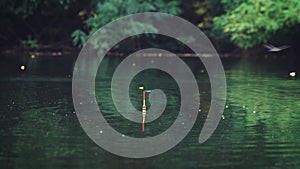 fishing on a float rod on a picturesque lake. dragonfly sits on a float for fishing.