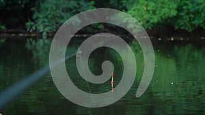 fishing on a float rod on a picturesque lake. wildlife. close-up