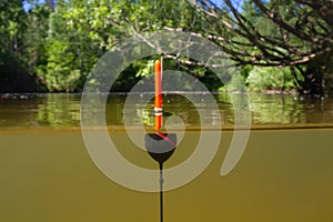 Fishing float sits upright in forest river