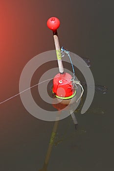 Fishing float in the water with dragonfly