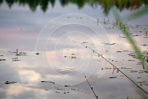 Fishing float on the water reflection relax ripple