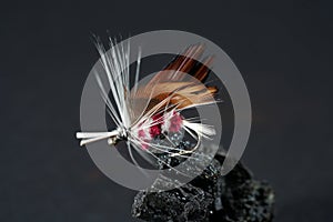 Fishing fly