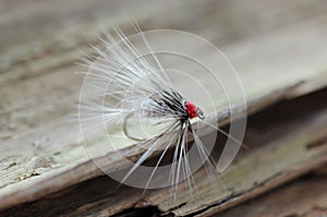 Fishing fly