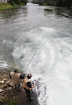 Fishing Fun