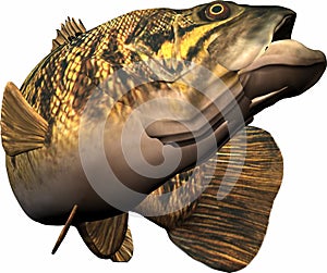 Fishing fun photo