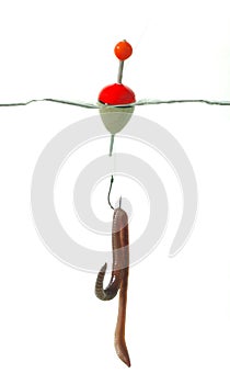 Fishing hook with earthworm