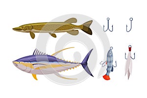 Fishing Hook Equipment for Angling and Fish Vector Set