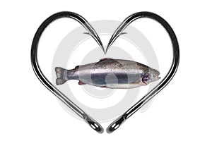 Fishing hook love heart sign with trout fish isolated on a white background. Fishing hook close up. Fishing tackle. Stainless stee