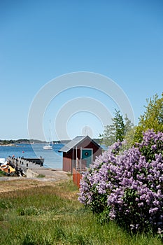 Fishing hut by seashore in Sandhamn, Stockholm archipelago in summer photo