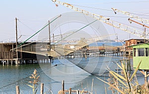 Fishing industry in Valli di Comacchio, Italy photo