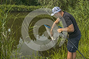 Fishing landing net in action. Fisherman caught fish using special rubber net at lake