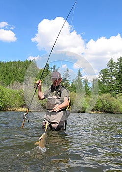 Fishing - lenok trout