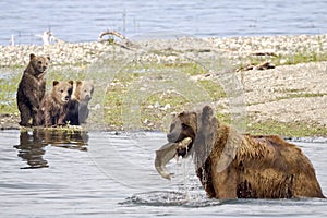 Fishing Lessons