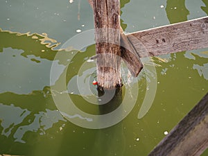 Fishing line and bobber tangled on wooden supports of a pier photo