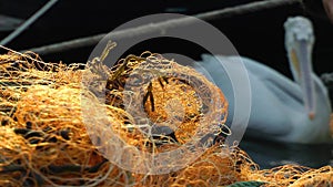 Fishing Line Detail of Fishnets