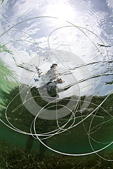 Fishing Line Underwater