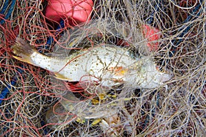 The fishing is the livelihood of the locals.