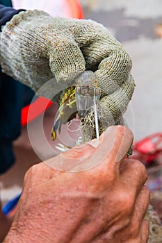 The fishing is the livelihood of the locals.