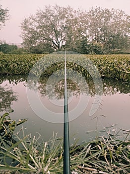 Fishing while looking at the view