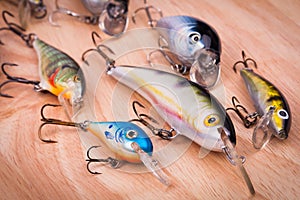 Fishing Lure